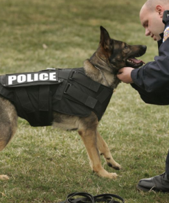 Skottsäkert skydd för hund BPV-K9